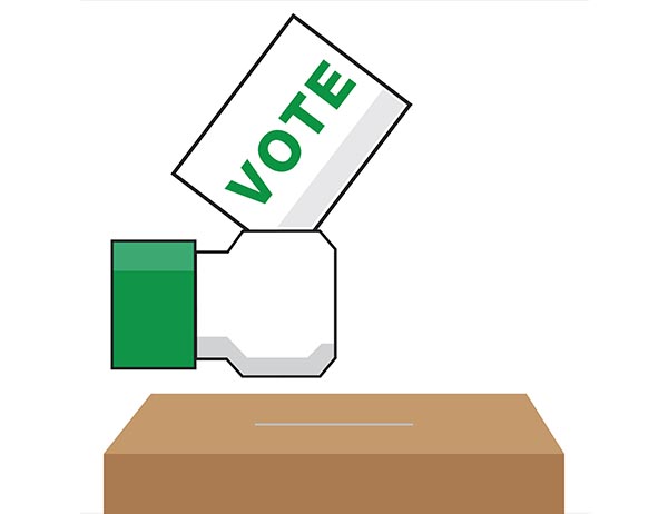 1982 Election Results: How Fared Our Green Candidates?